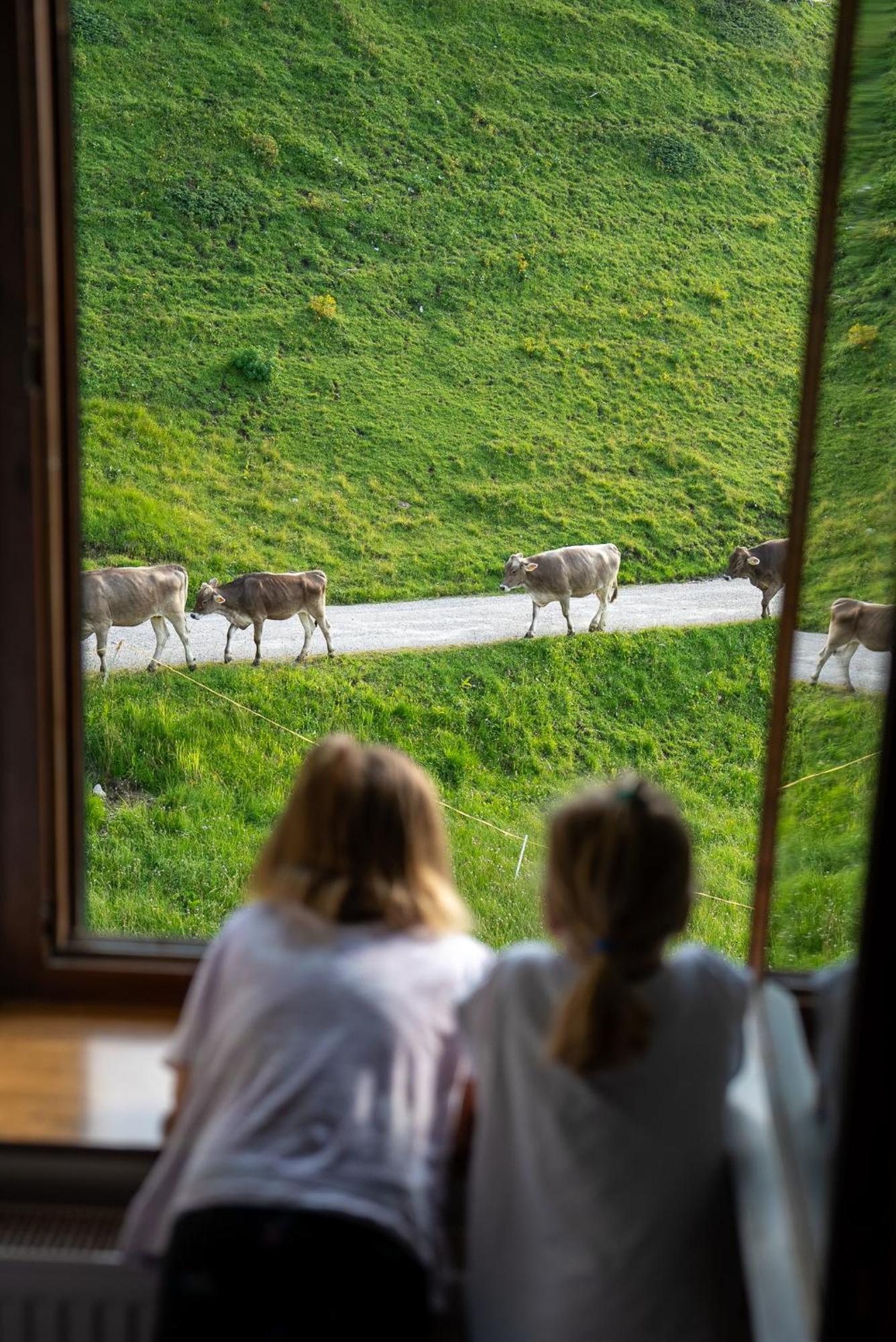 Hotel Alpen Arnika Tauplitzalm Esterno foto