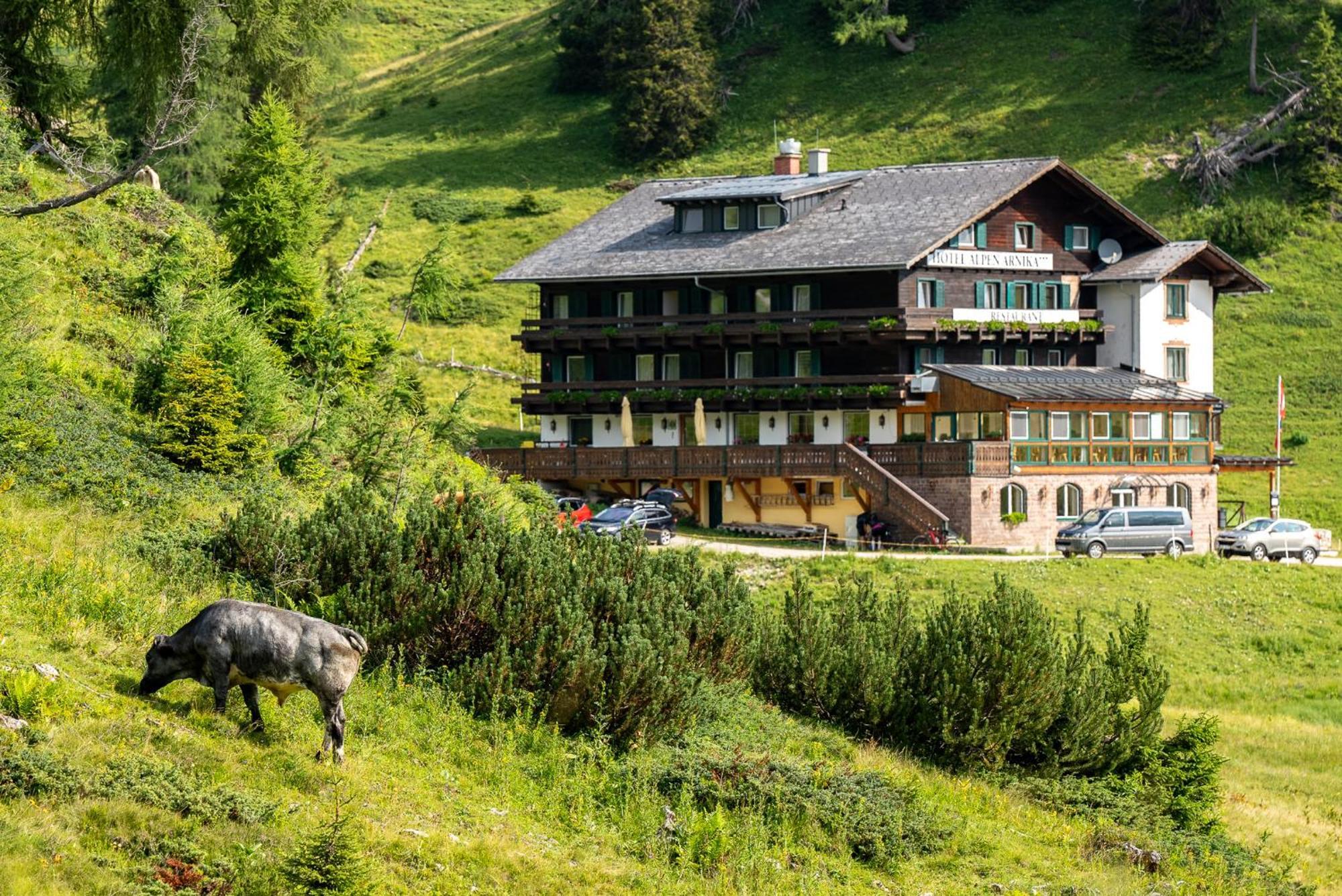 Hotel Alpen Arnika Tauplitzalm Esterno foto